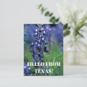 Carte Postale Bluebonnets Texas State Flower Blue Floral Lupine (Debout devant)
