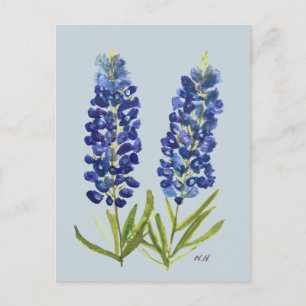 Carte Postale Bluebonnets Texas State Flowers Lupine Watercolor