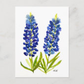 Carte Postale Bluebonnets Texas State Flowers Lupine Watercolor (Devant)