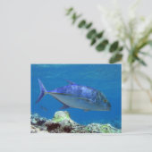 Carte Postale Bluefin Trevally (Debout devant)