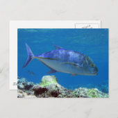Carte Postale Bluefin Trevally (Devant / Derrière)
