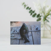 Carte Postale Bluegill au coucher du soleil Lac Arrowhead (Debout devant)