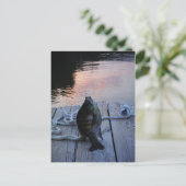 Carte Postale Bluegill au coucher du soleil Lac Arrowhead (Debout devant)