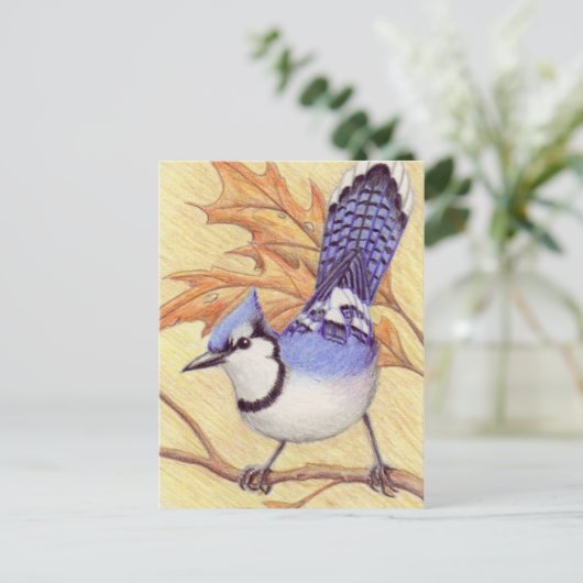 Carte postale Bluejay (Debout devant)
