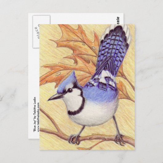 Carte postale Bluejay (Devant / Derrière)