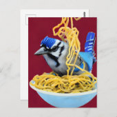 Carte Postale Bluejay Manger Spaghetti (Devant / Derrière)