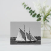 Carte postale Bluenose II (Debout devant)