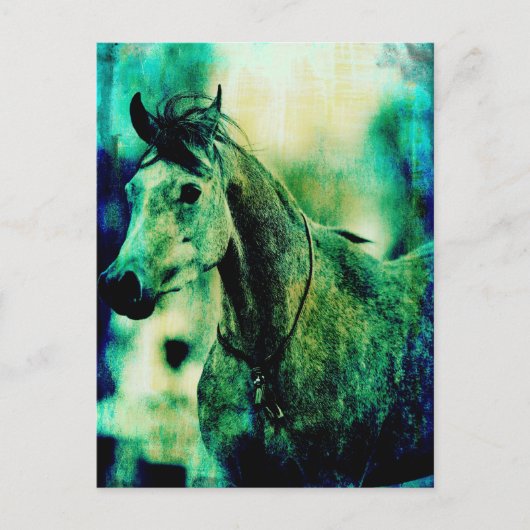 Carte Postale Blues d'Arabie (Devant)