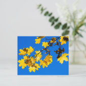 Carte Postale Blues d'automne (Debout devant)