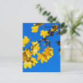 Carte Postale Blues d'automne (Debout devant)