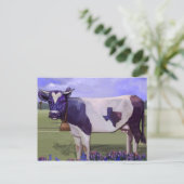 Carte Postale Blues de vache de lait (Debout devant)