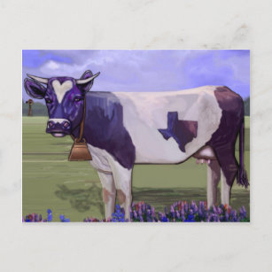 Carte Postale Blues de vache de lait