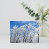 Carte Postale Blues d'hiver (Debout devant)