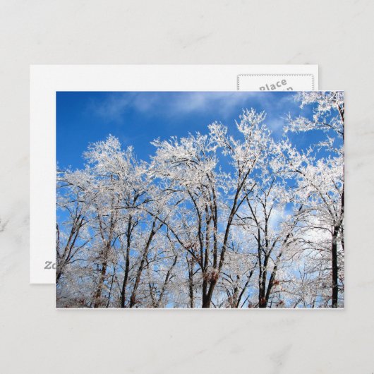 Carte Postale Blues d'hiver (Devant / Derrière)