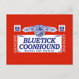 Carte Postale Bluetick Coonhound