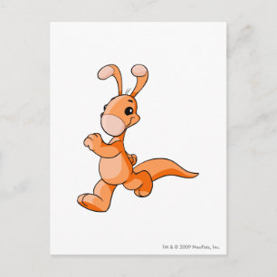 Carte Postale Blumaroo Orange