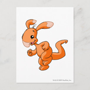 Carte Postale Blumaroo Orange