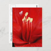 Carte Postale Blütenstaub (Devant / Derrière)