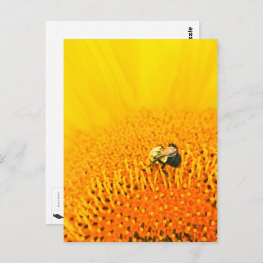 Carte Postale BNo2 : Numéro 2 (Devant / Derrière)