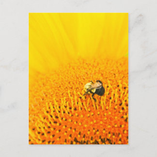 Carte Postale BNo2 : Numéro 2