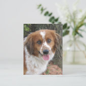 Carte Postale Bo (Debout devant)