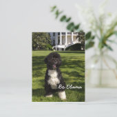 Carte Postale Bo Obama (Debout devant)