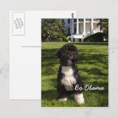 Carte Postale Bo Obama (Devant / Derrière)