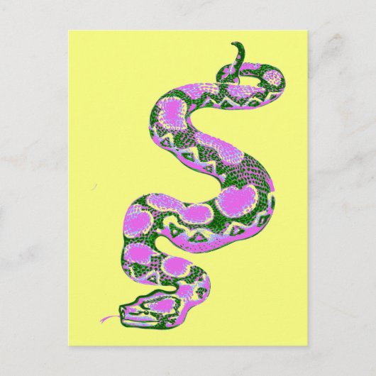 Carte Postale Boa Constrictor Pop Art (Devant)