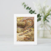 Carte Postale Boa malgache (Debout devant)