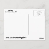 Carte Postale Boathouse à Forest Park (Dos)