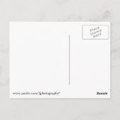 Carte Postale Boathouse Row (Dos)