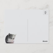 Carte Postale Bob dans la pensée - Chat noir et blanc (Dos)