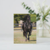 Carte Postale Bob Langrish | Black Friesian Mare Running (Debout devant)