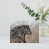 Carte Postale Bob Langrish | Casque andalou de Mane Flow (Debout devant)