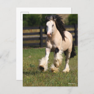 Carte Postale Bob Langrish Champagne Couleur Gypsy Vanner Runnin