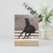 Carte Postale Bob Langrish | Cheval Andalou Noir Courir (Debout devant)