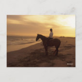 Carte Postale Bob Langrish | Cheval et Rider sur la plage au cou (Devant)