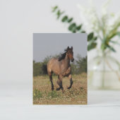 Carte Postale Bob Langrish | Cheval Quart Courant En Fleurs (Debout devant)