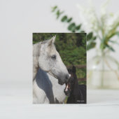 Carte Postale Bob Langrish | Cristal de Mare et Foie de sang cha (Debout devant)