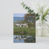 Carte Postale Bob Langrish | Deux Bois Chauds Ensemble Par Lac (Debout devant)