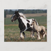 Carte Postale Bob Langrish | Gypsy Vanner Mare and Foal Running (Devant)