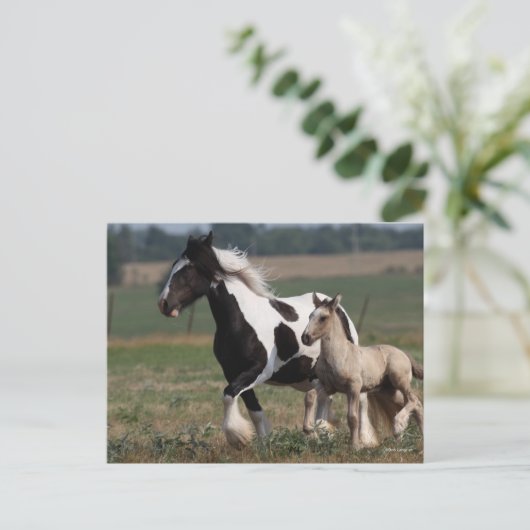 Carte Postale Bob Langrish | Gypsy Vanner Mare and Foal Running (Debout devant)
