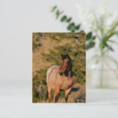Carte Postale Bob Langrish | Mustang Horse Standing (Debout devant)