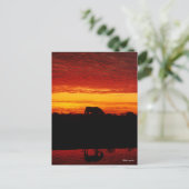 Carte Postale Bob Langrish | Pâturage arabe à cheval au coucher  (Debout devant)