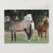 Carte Postale Bob Langrish | Trois Ponts Se Regroupent (Devant)