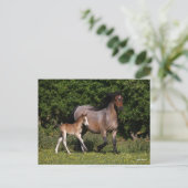Carte Postale Bob Langrish | Welsh Pony Mare and Foal Running (Debout devant)