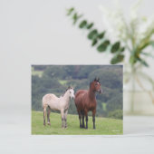 Carte Postale Bob Langrish | Welsh Pony Mare and Foie Standing (Debout devant)