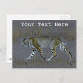 Carte Postale Bobcat (Devant / Derrière)