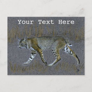Carte Postale Bobcat
