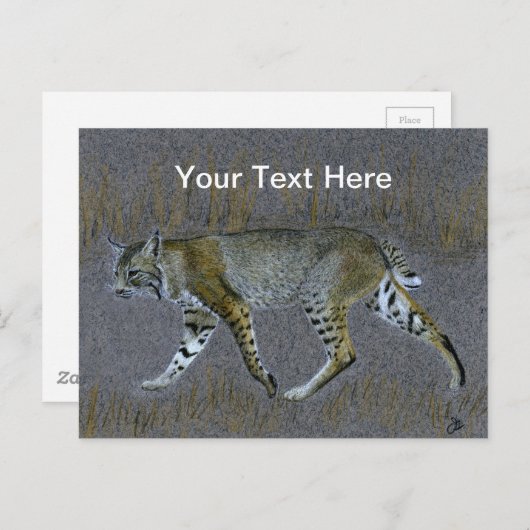 Carte Postale Bobcat (Devant / Derrière)